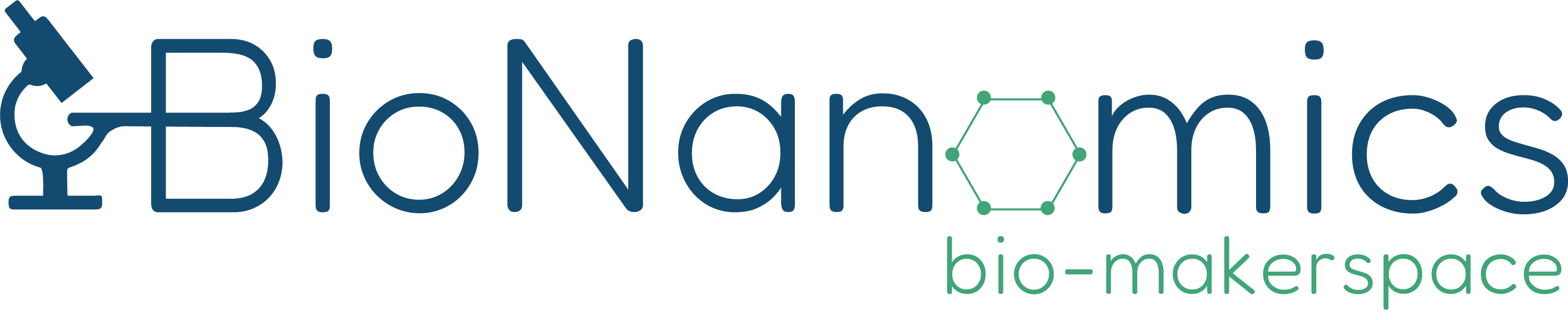 BioNanomics